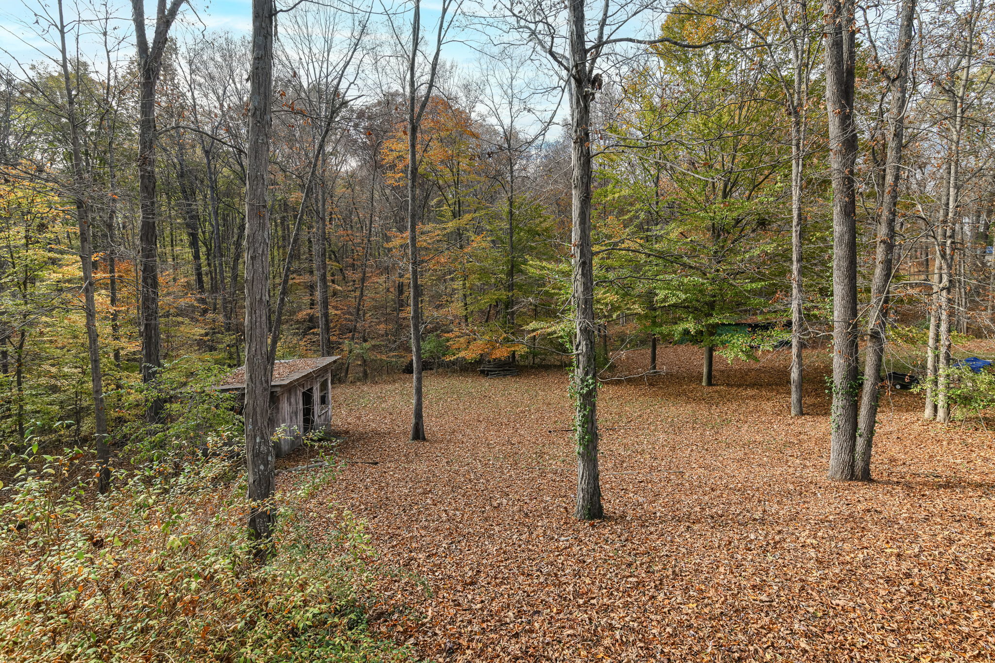 7856 North Lasalle Road Morgantown, IN 46160 - Photo 20 of 33
