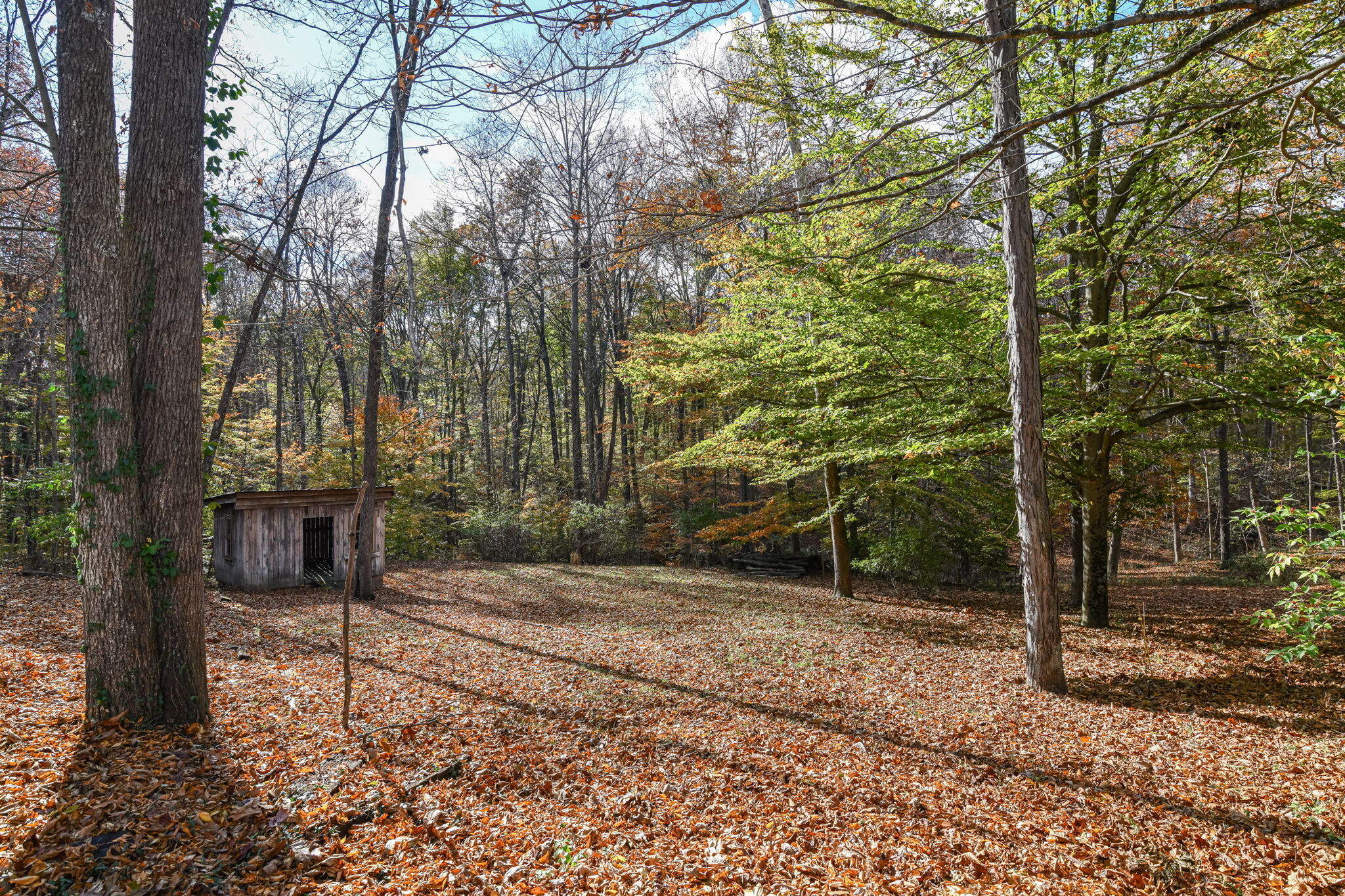 7856 North Lasalle Road Morgantown, IN 46160 - Photo 6 of 33