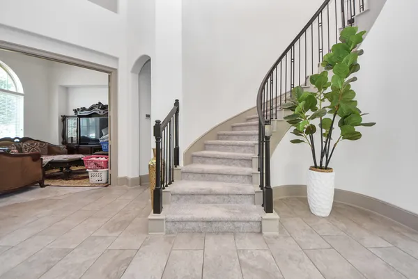 a view of staircase with lots of frames on wall and a potted plant
