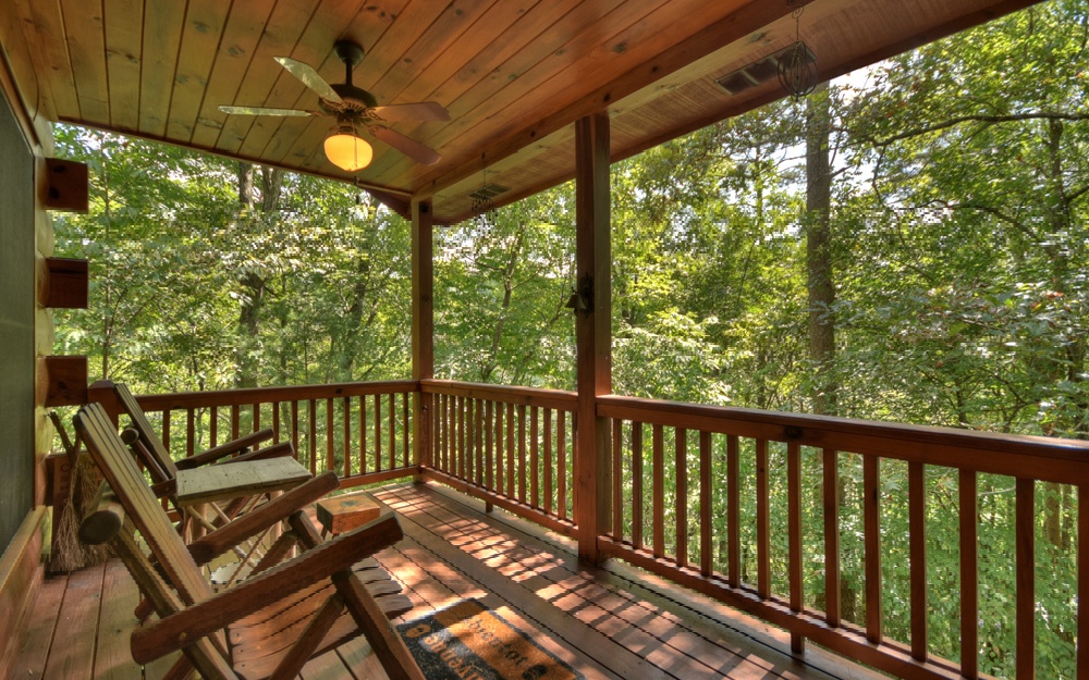 81 Buster Branch Road Blue Ridge, GA 30513 - Photo 11 of 30 Additional View