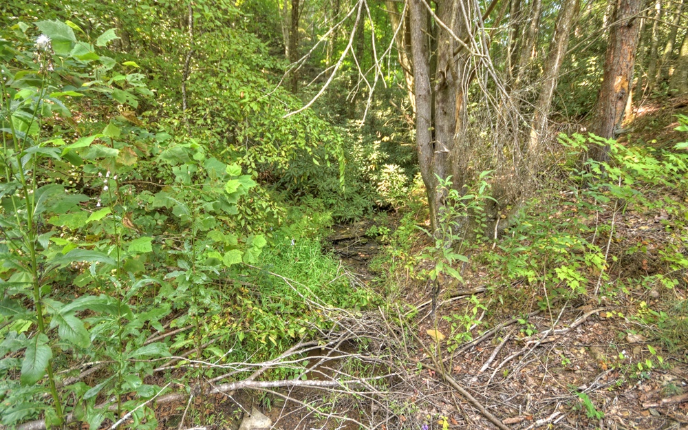 81 Buster Branch Road Blue Ridge, GA 30513 - Photo 26 of 30 Additional View