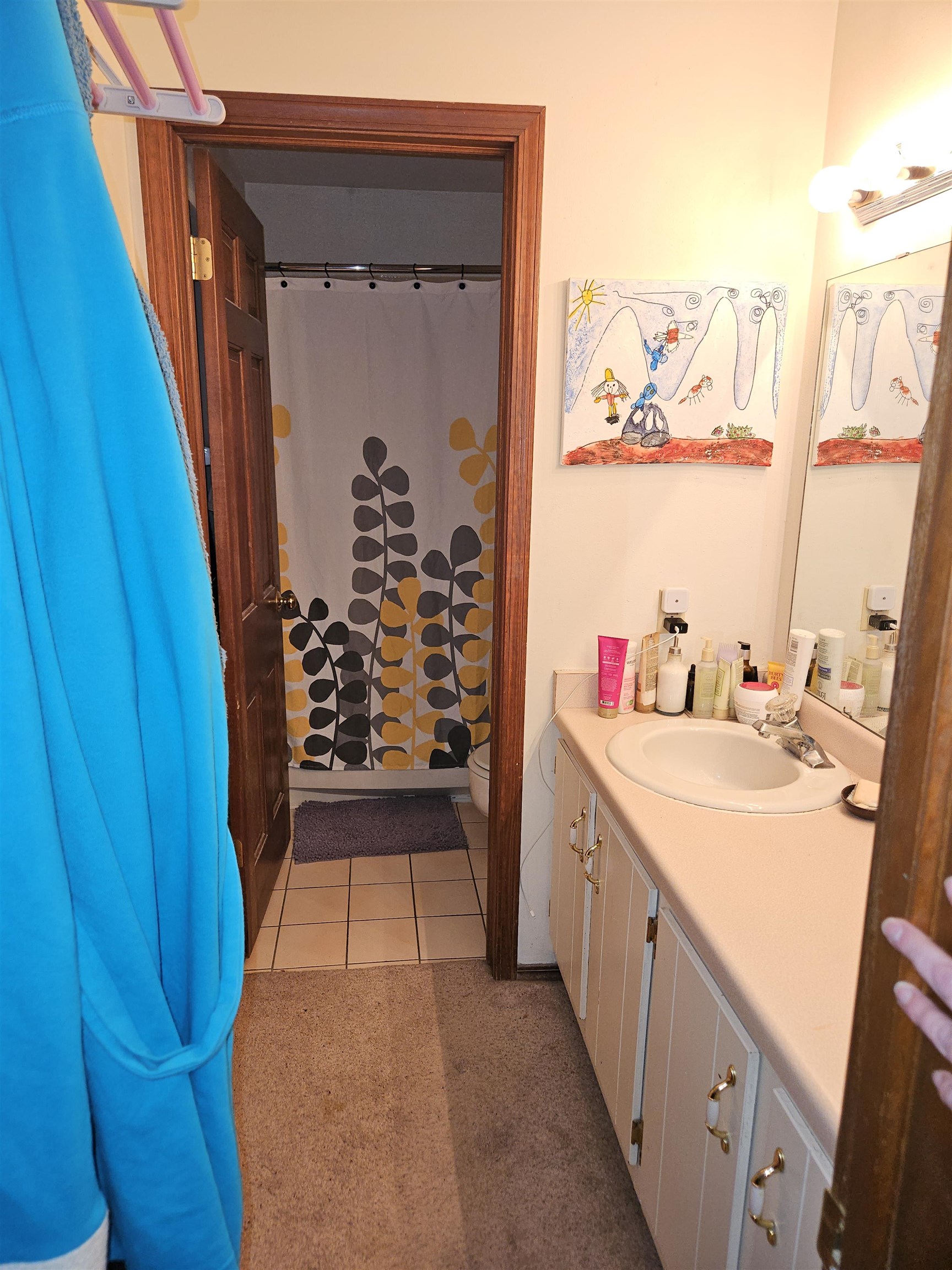 25 Coronado Court Madison, WI 53705 - Photo 16 of 20