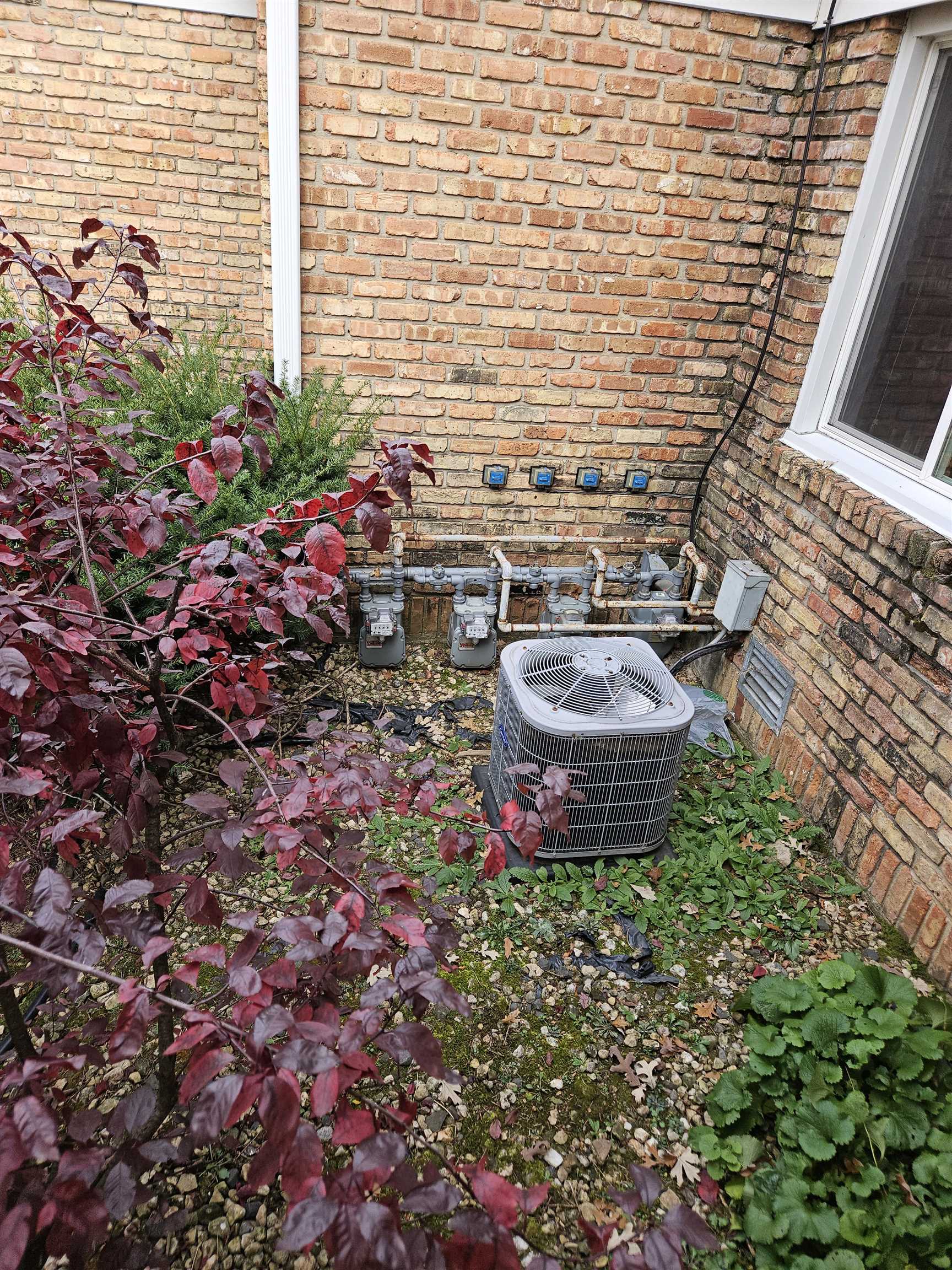 25 Coronado Court Madison, WI 53705 - Photo 10 of 20
