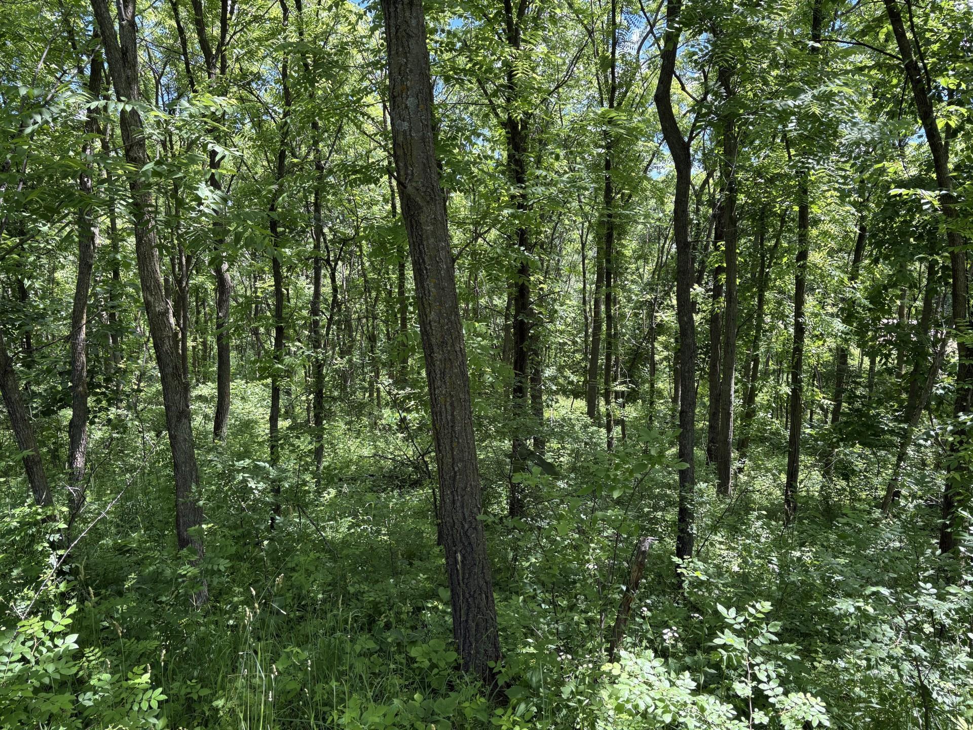 Tbd Base Line Road Northfield, MN 55057 - Photo 21 of 51