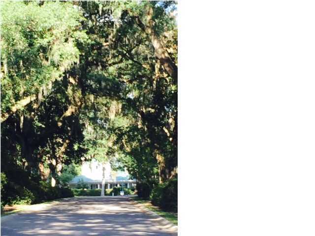 652 Fair Spring Drive Charleston, SC 29414 - Photo 21 of 23 Avenue of Oaks at Entry of Schieveling