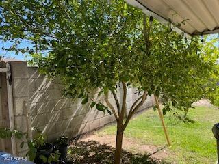 3529 East Piccadilly Road Phoenix, AZ 85018 - Photo 9 of 10 piccadilly 8