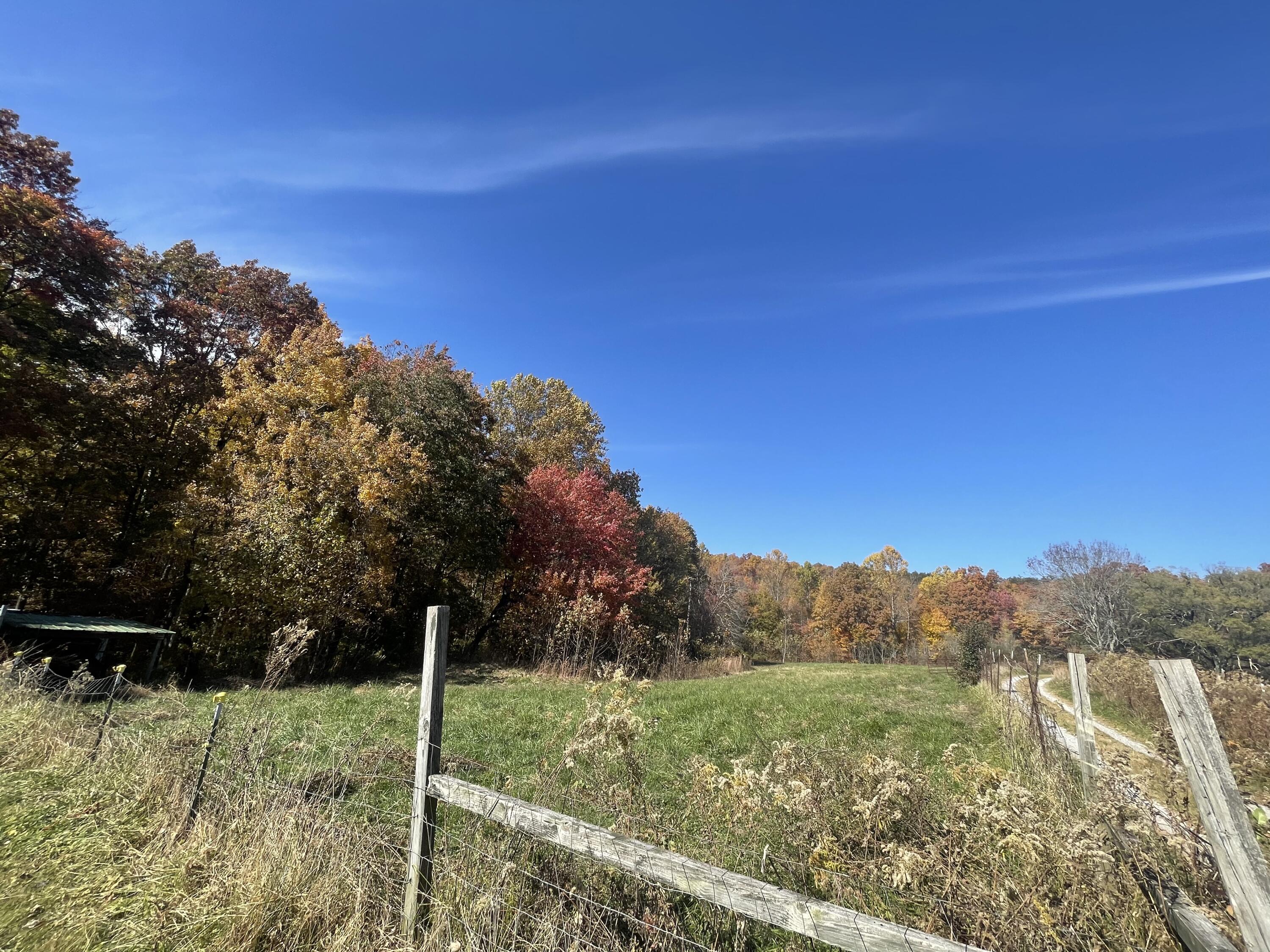 866 Milo Hale Road Pikeville, TN 37367 - Photo 21 of 27 55215607-7A79-4762-977C-13AF82DC4796