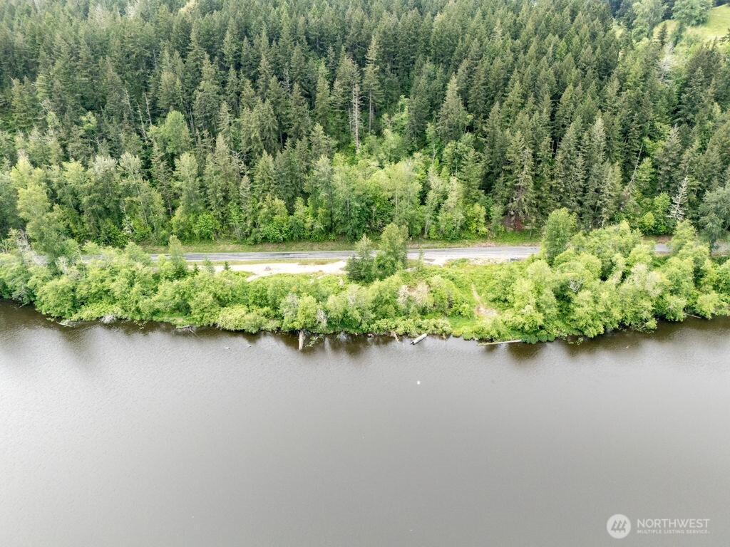 3-4 Orville Road East Eatonville, WA 98328 - Photo 2 of 32