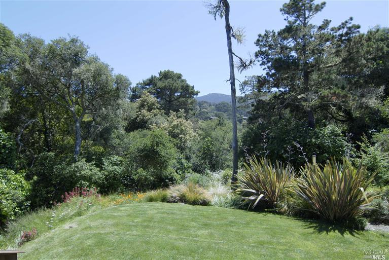 0 103 Via Inverness, CA 94937 - Photo 1 of 1 View to 1 acre lot from the backyard of adjacent 105 Via de la Vista. Mt.Vision is visible beyond the treeline. Lot is percked for a 4 bedroom home. Purchase this lot for privacy or build your own Sea Haven home!