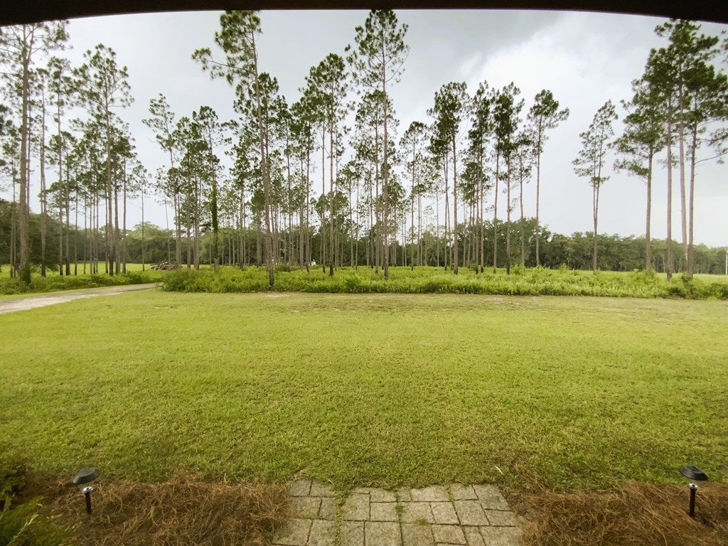 158 Empress Road Quitman, GA 31643 - Photo 50 of 68 Gallery Image 50