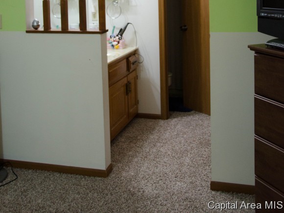 55 Brookside Place Springfield, IL 62704 - Photo 14 of 22 Gallery Image 14