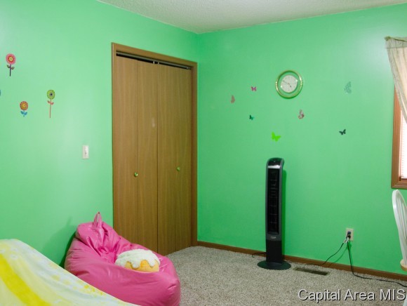55 Brookside Place Springfield, IL 62704 - Photo 15 of 22 Gallery Image 15