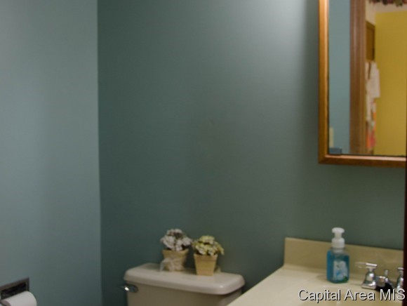55 Brookside Place Springfield, IL 62704 - Photo 10 of 22 Gallery Image 10