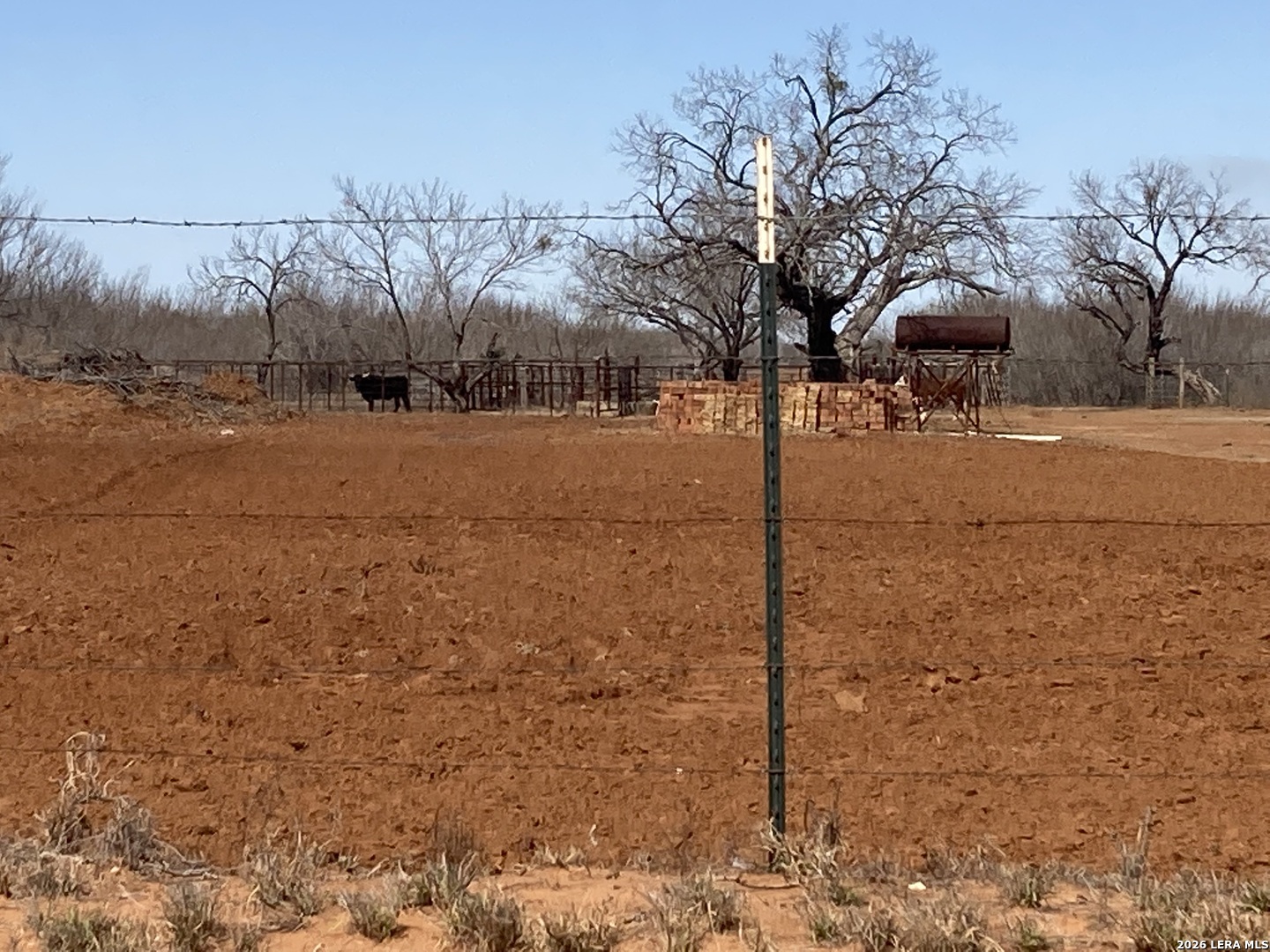 1305 Vergara Road Dilley, TX 78017 - Photo 3 of 12 Gallery Image 3