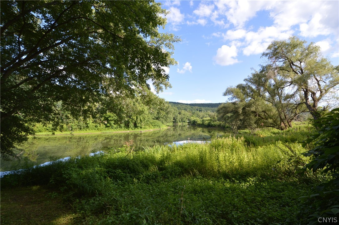 1454 Highway 8 Mount Upton, NY 13809 - Photo 1 of 1 View looking right from riverside lawn.