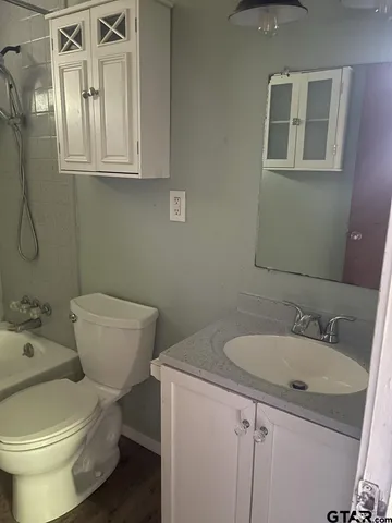 a bathroom with a sink toilet and mirror