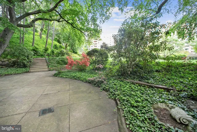 a view of backyard with seating space and trees