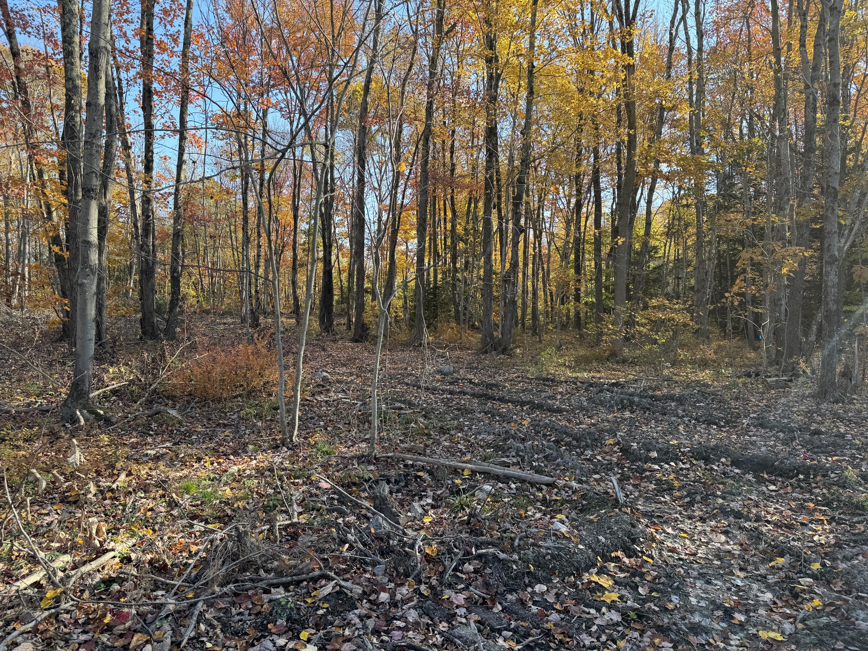 Lot# A & B Lot Road Biddeford, ME 04005 - Photo 5 of 5 5
