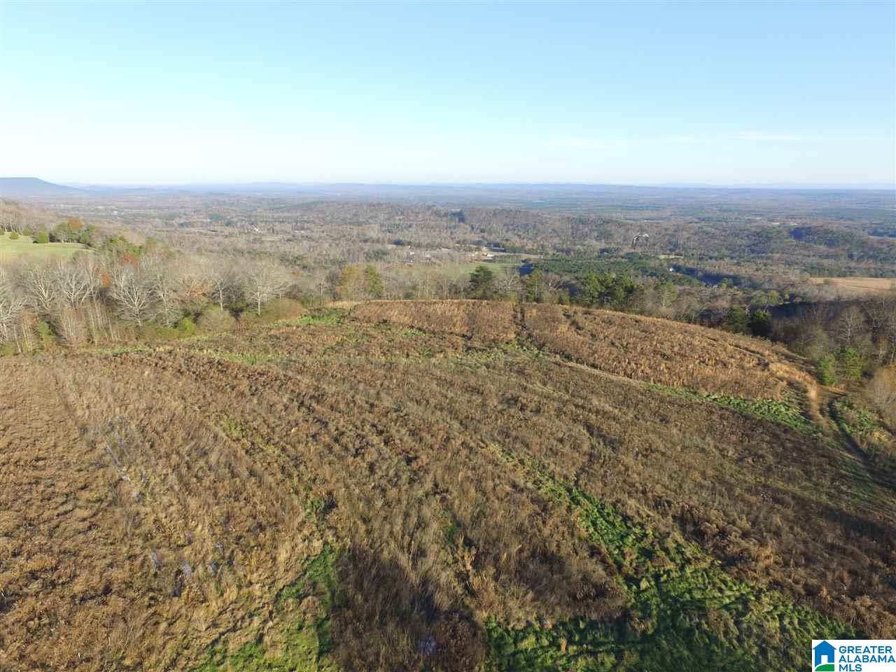 0 County Road 24, Unit 49 / ACRES Springville, AL 35146 - Photo 7 of 18