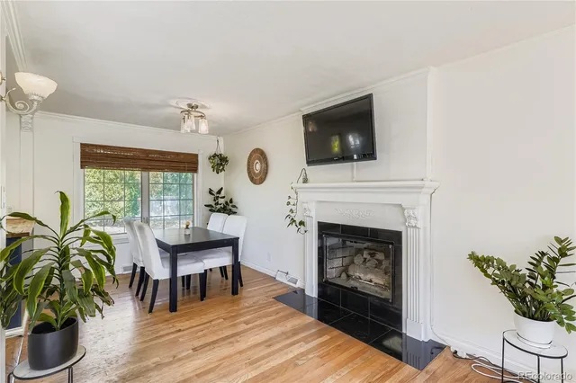 a living room with furniture a fireplace and a potted plant