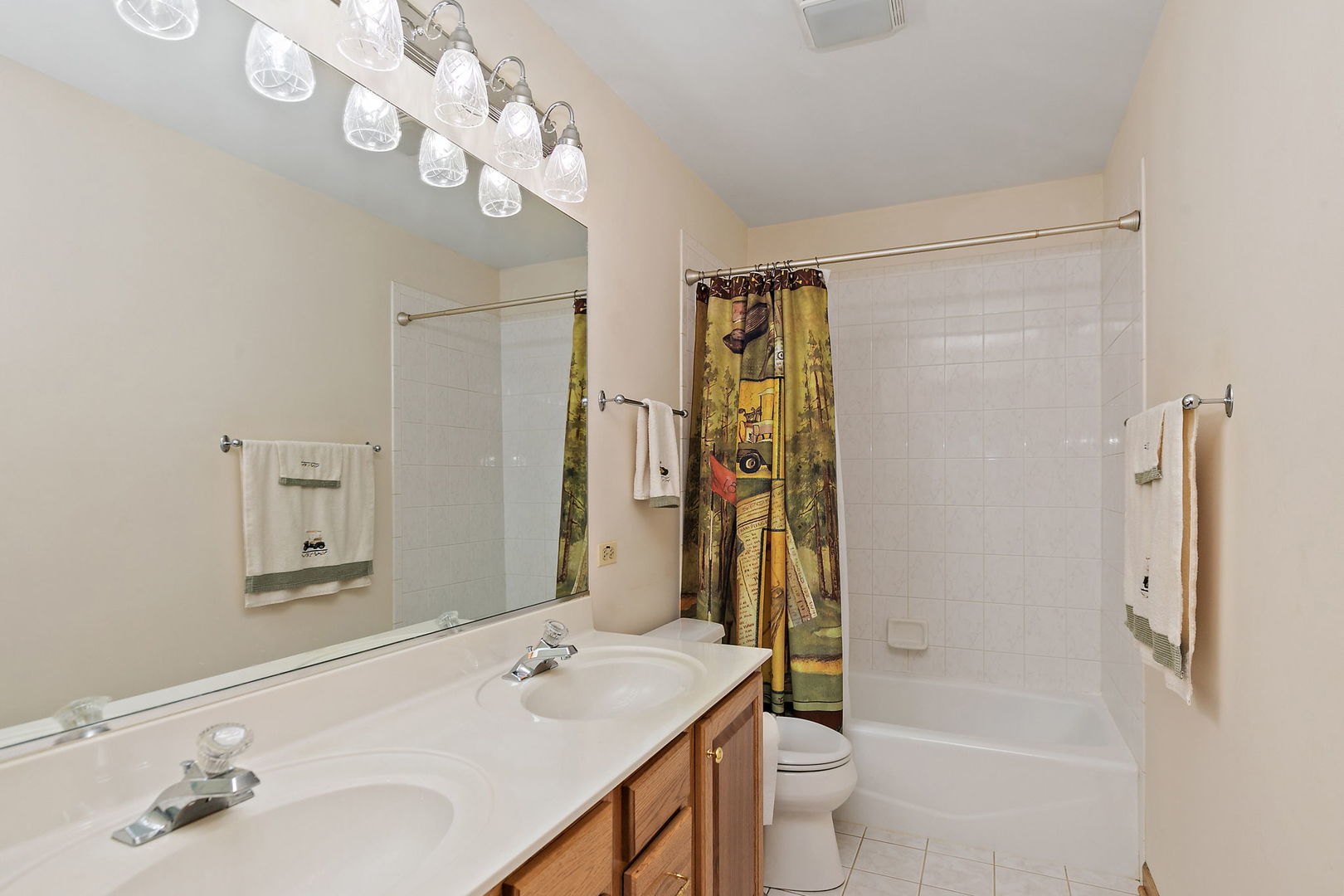 406 Catkins Way Cary, IL 60013 - Photo 28 of 32 a bathroom with a sink a toilet and shower