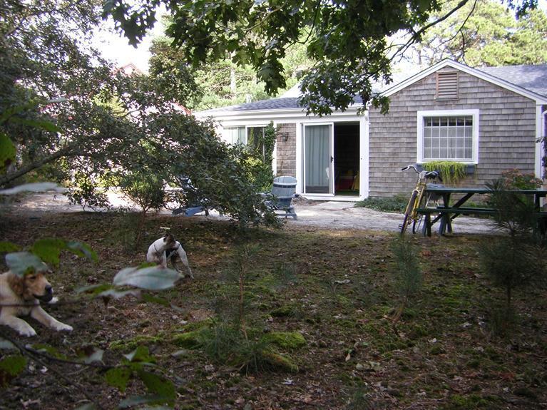 55 Captain Chase Road Dennis Port, MA 02639 - Photo 3 of 18 a view of a house with backyard and a garden