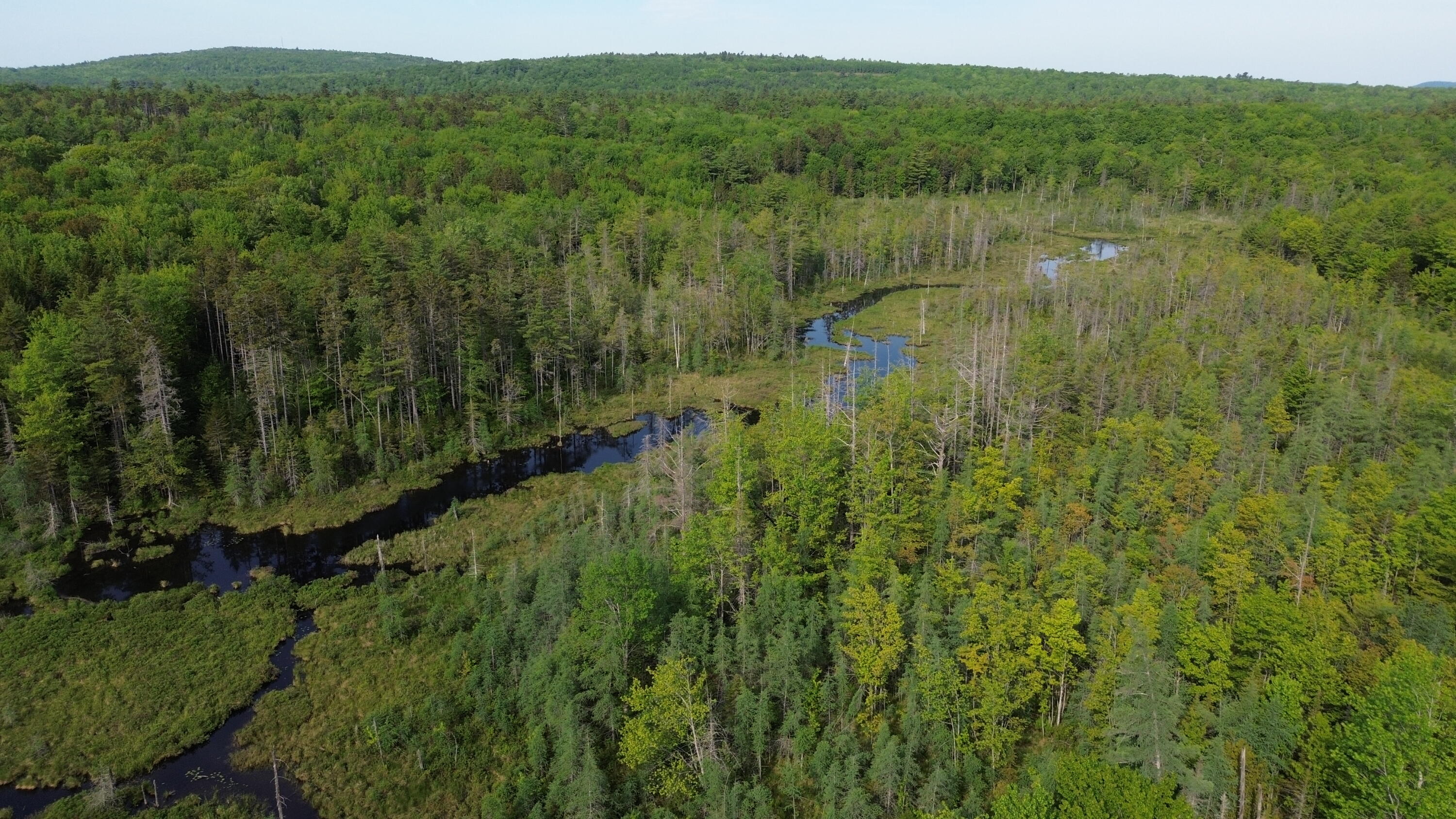 M5-l13 Clark Road Prospect, ME 04981 - Photo 33 of 33 DJI_0124