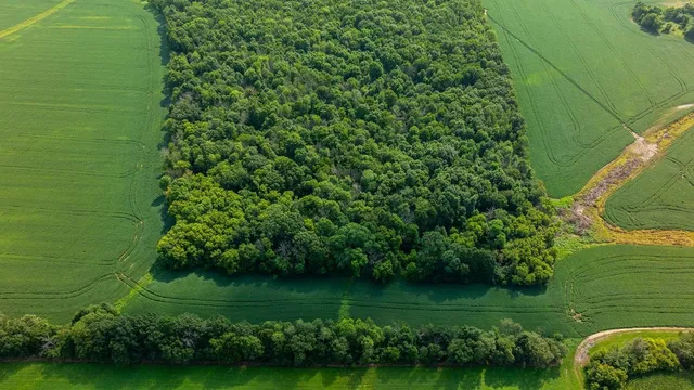 $250,000 | Tbd 140th Avenue, Glenwood City, WI 54013