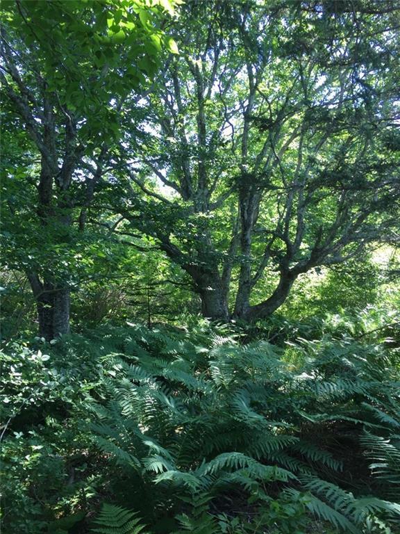 Map 3-lot Map 3-lot Kelley Point Road Brooklin, ME 04616 - Photo 29 of 31 Photo