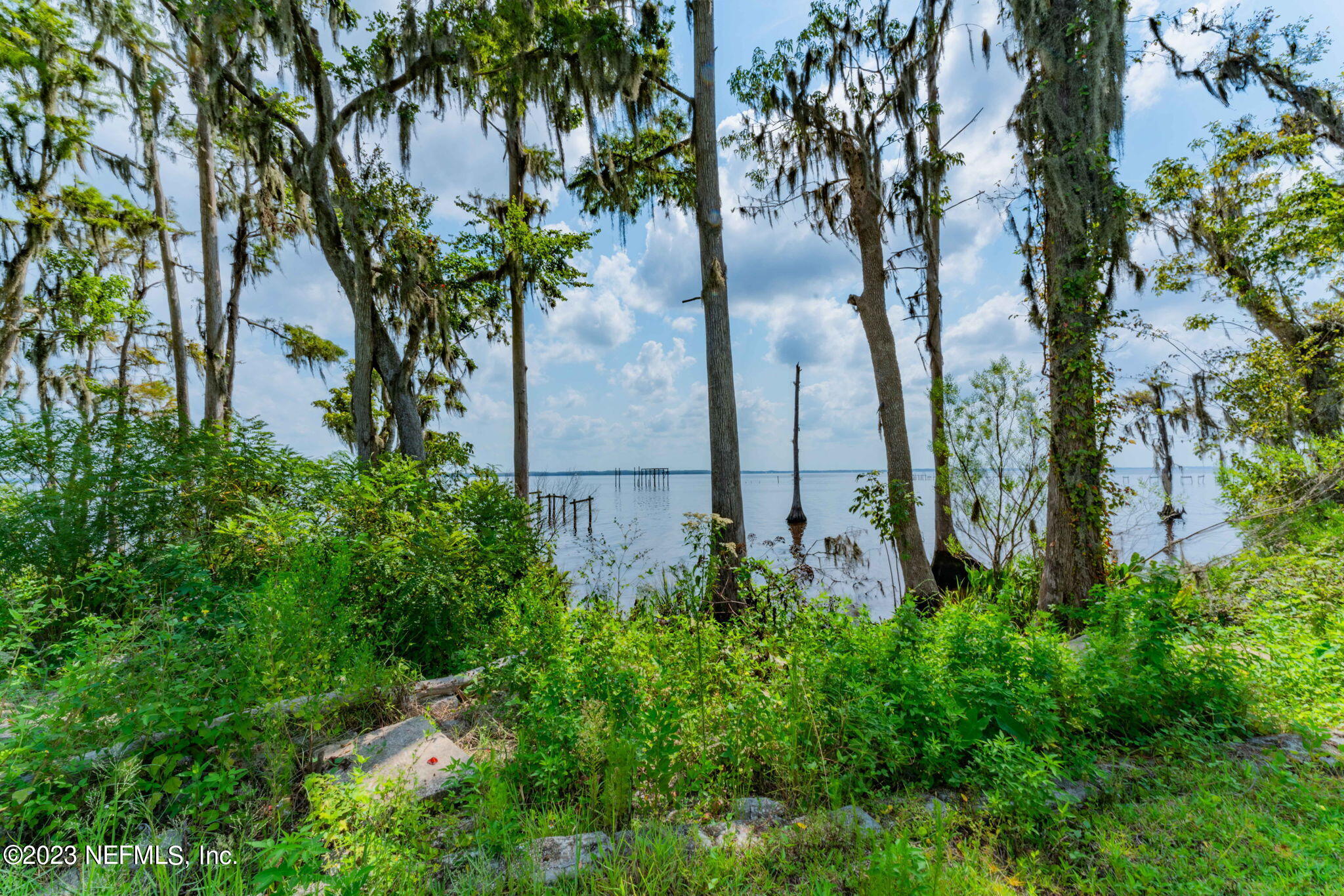 200 Snake Road Green Cove Springs, FL 32043 - Photo 38 of 42 Waterview 3