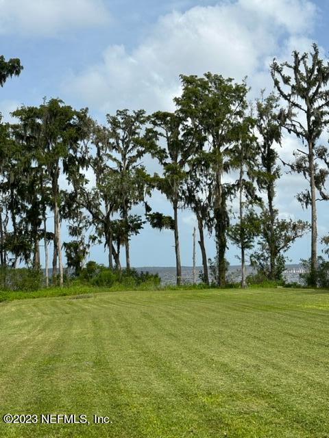 200 Snake Road Green Cove Springs, FL 32043 - Photo 4 of 42 Waterview