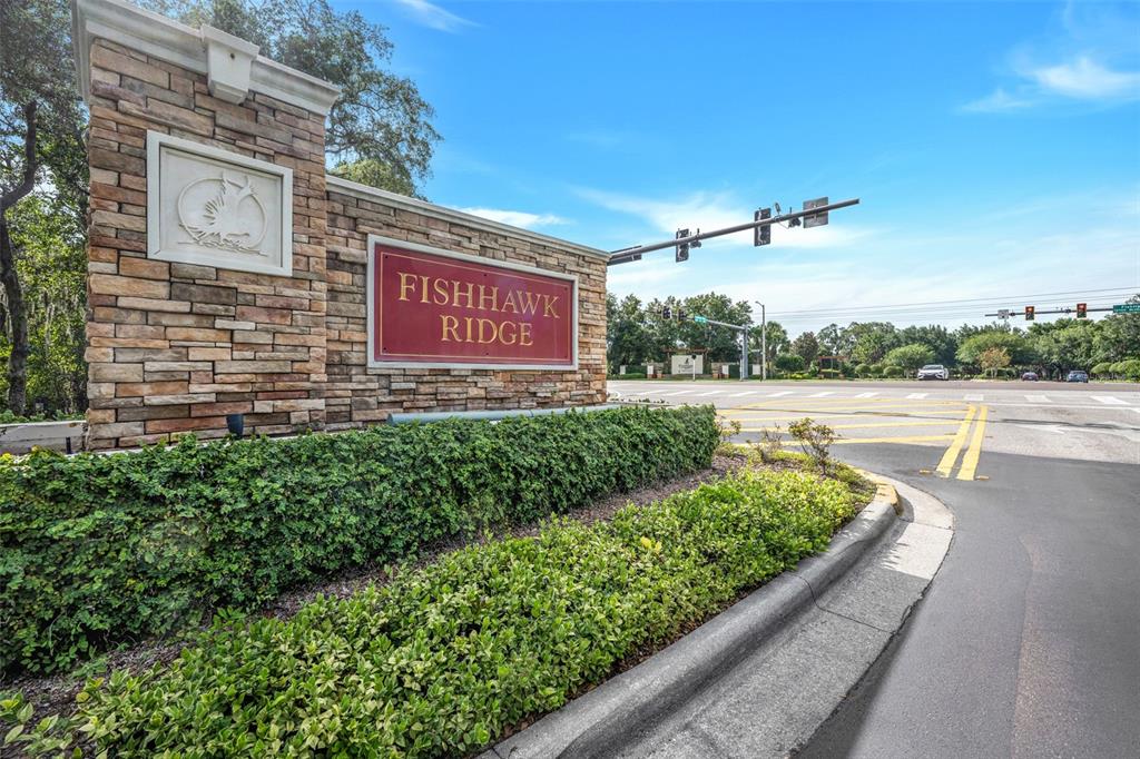 5842 Fishhawk Ridge Drive Lithia, FL 33547 - Photo 47 of 59