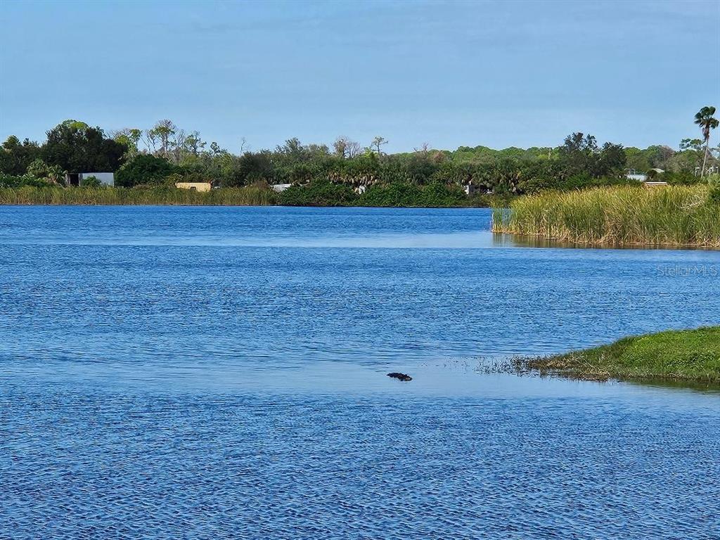 3510 Kenneth Road Port Charlotte, FL 33953 - Photo 30 of 42 Waiting for your row boat, canoe, Kayak