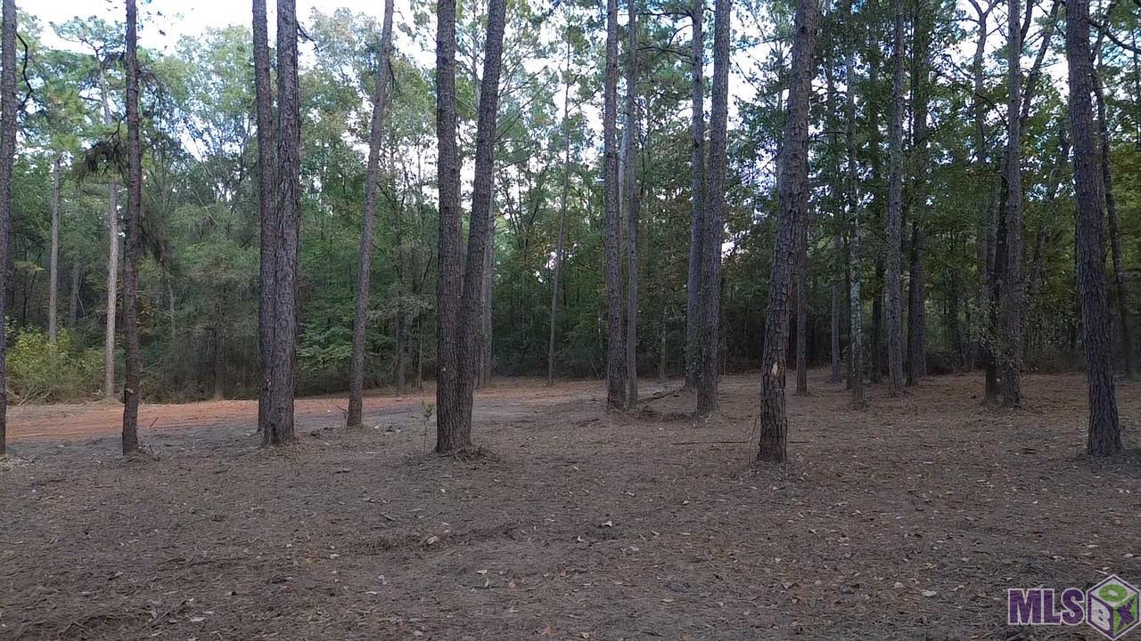 Lot 32 Back Ridge Road Amite, LA 70422 - Photo 1 of 12 Gallery Image 1