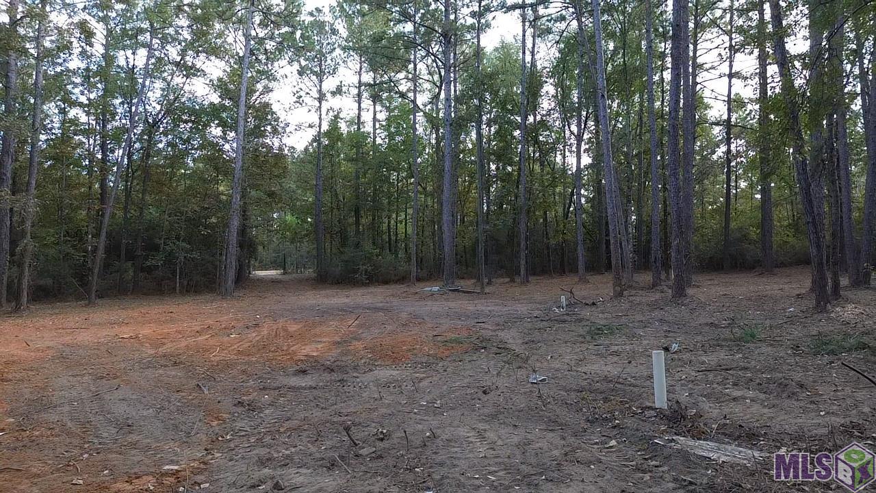 Lot 32 Back Ridge Road Amite, LA 70422 - Photo 11 of 12 Gallery Image 11