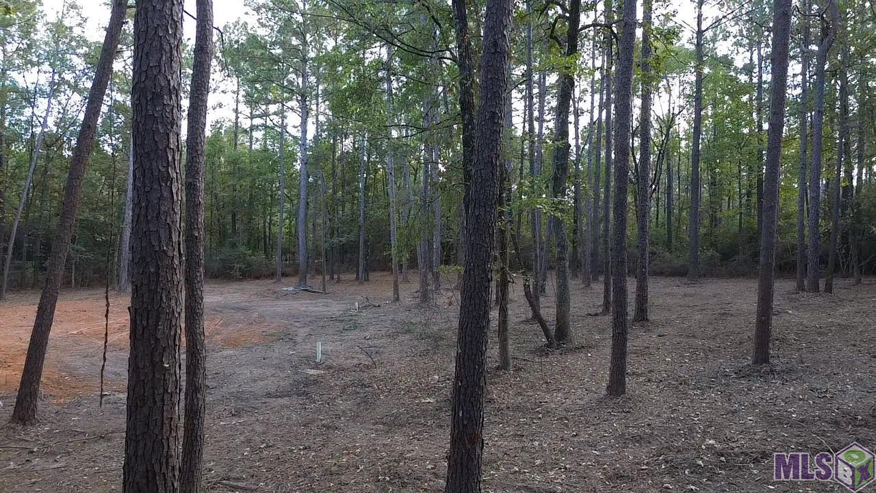 Lot 32 Back Ridge Road Amite, LA 70422 - Photo 3 of 12 Gallery Image 3
