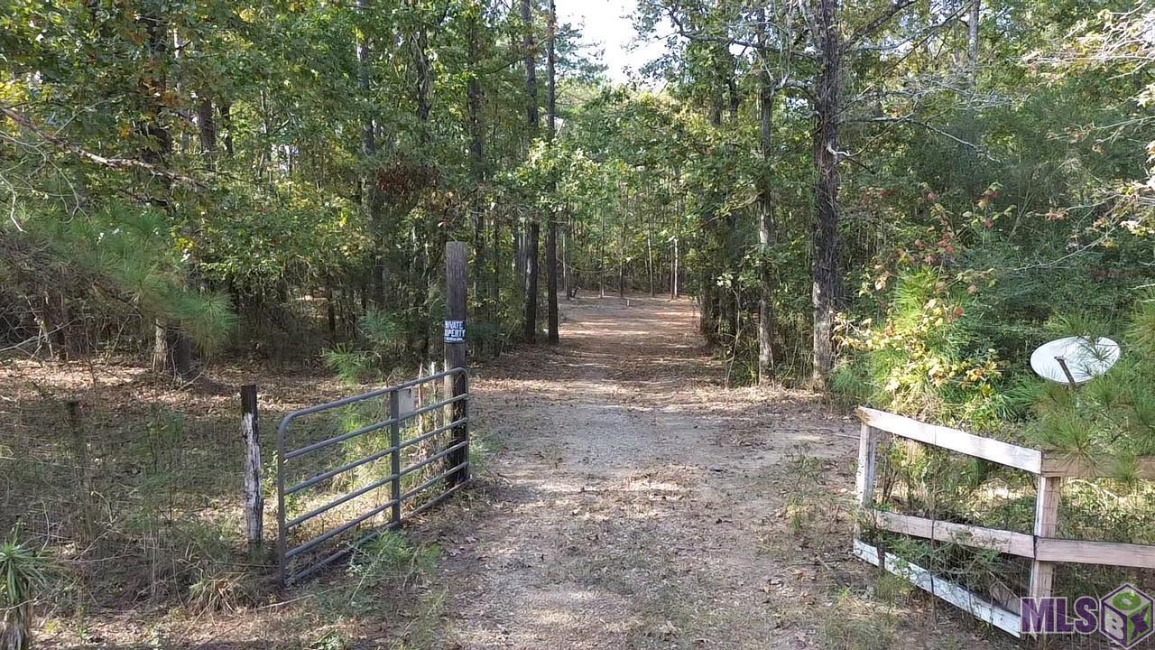 Lot 32 Back Ridge Road Amite, LA 70422 - Photo 4 of 12 Gallery Image 4