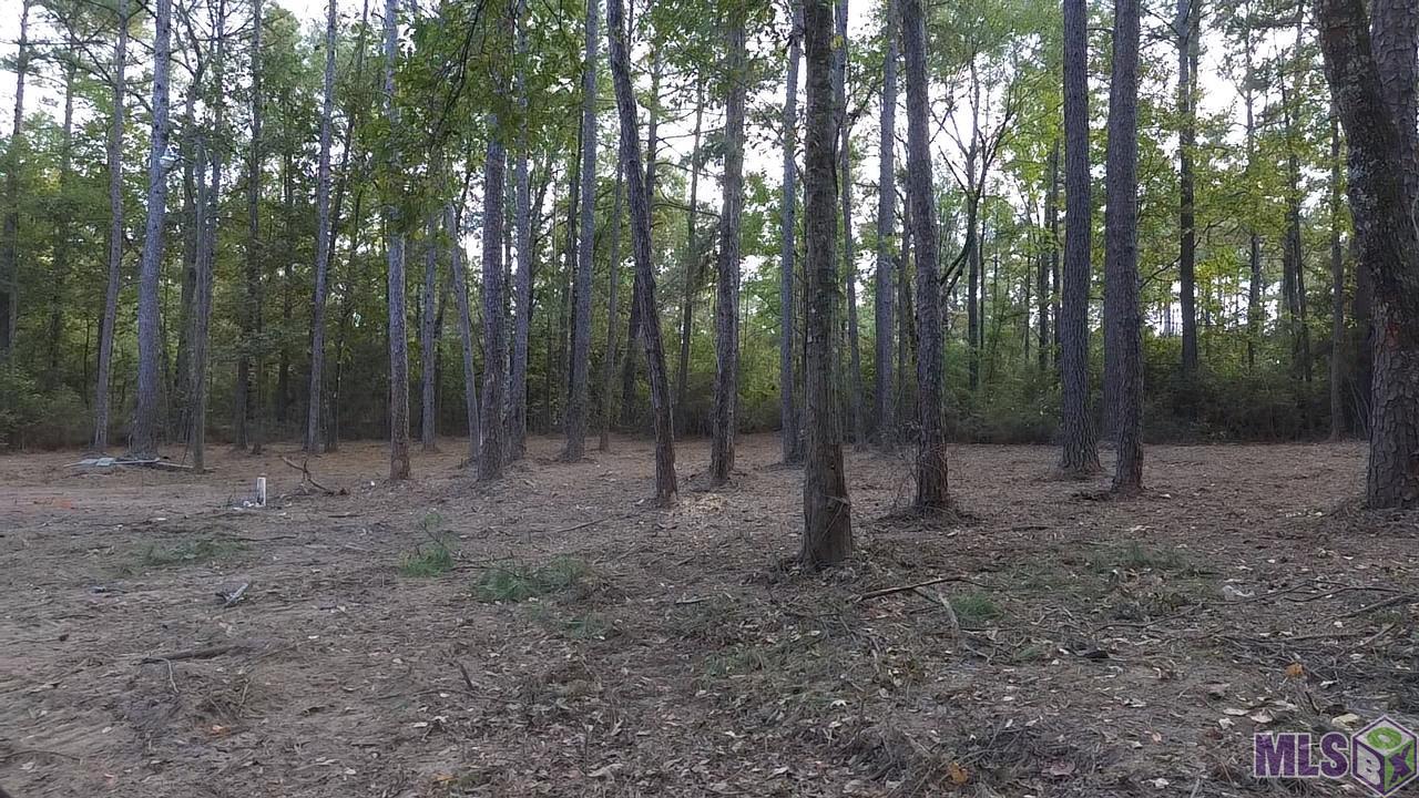 Lot 32 Back Ridge Road Amite, LA 70422 - Photo 6 of 12 Gallery Image 6