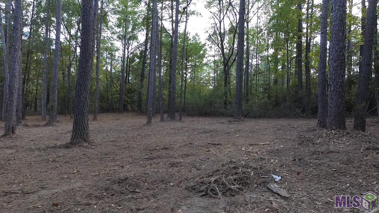 Lot 32 Back Ridge Road Amite, LA 70422 - Photo 8 of 12 Gallery Image 8