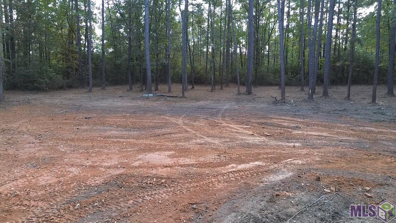 Lot 32 Back Ridge Road Amite, LA 70422 - Photo 9 of 12 Gallery Image 9