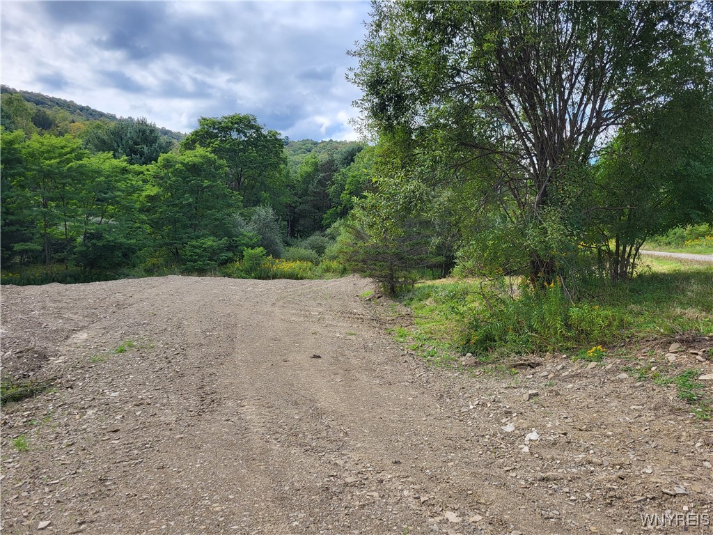 Lot A Porter Hollow Road Great Valley, NY 14741 - Photo 2 of 13