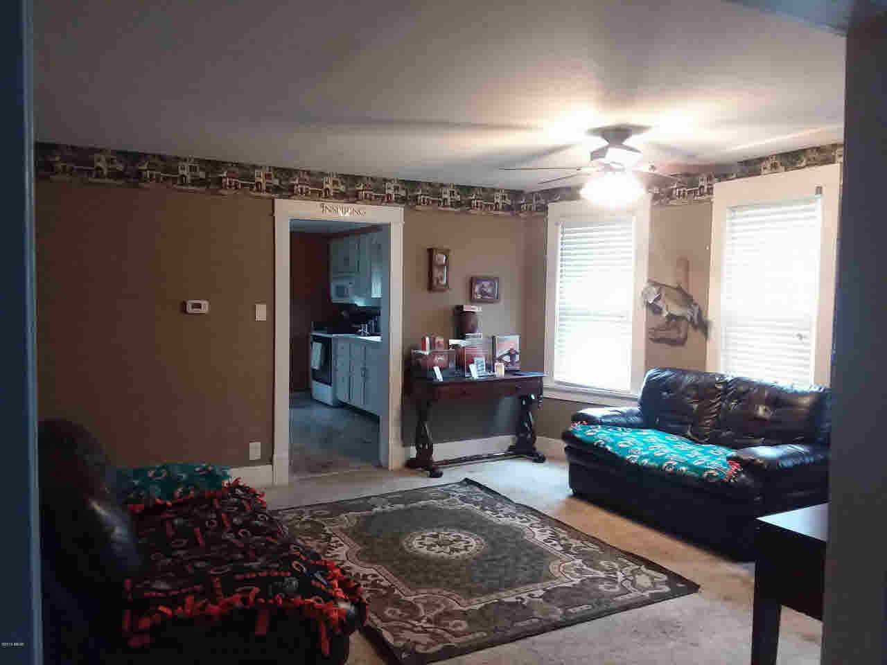 748 Chamness Road Elkville, IL 62932 - Photo 6 of 15 Gallery Image 6