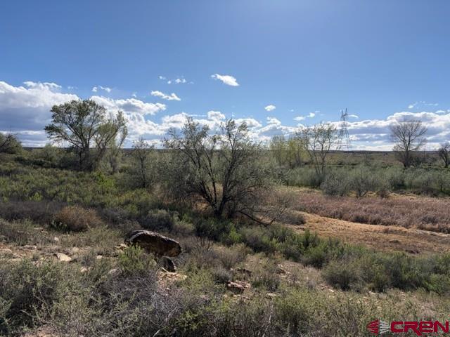 51233 Carnation Road Delta, CO 81416 - Photo 7 of 21 Gallery Image 7