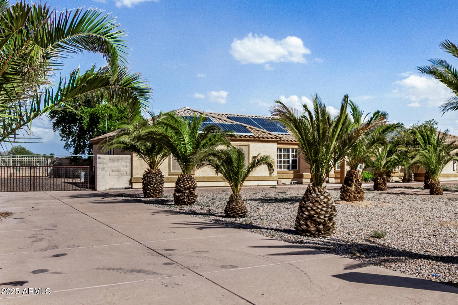 11381 Warrior Road Casa Grande, AZ 85193 - Photo 47 of 73 a view of a palm tree with flower garden