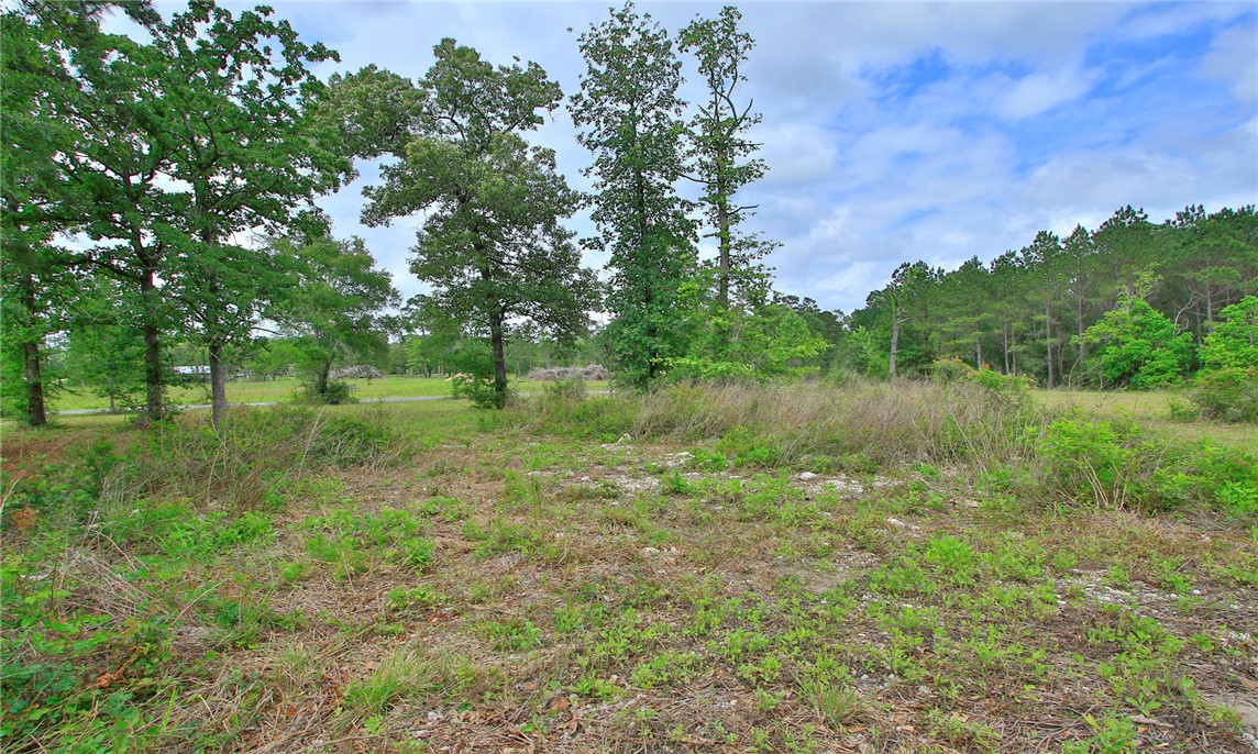 5914 Carter Road Waller, TX 77484 - Photo 35 of 41