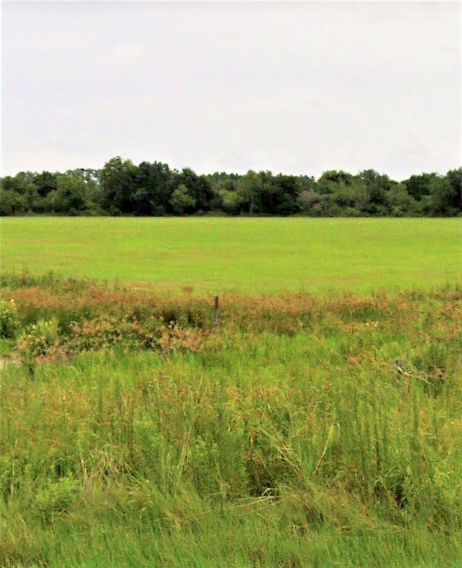 0 East Interstate 10 Winnie, TX 77665 - Photo 7 of 9