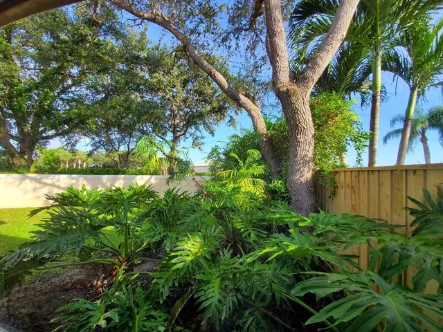 a view of a yard with a tree