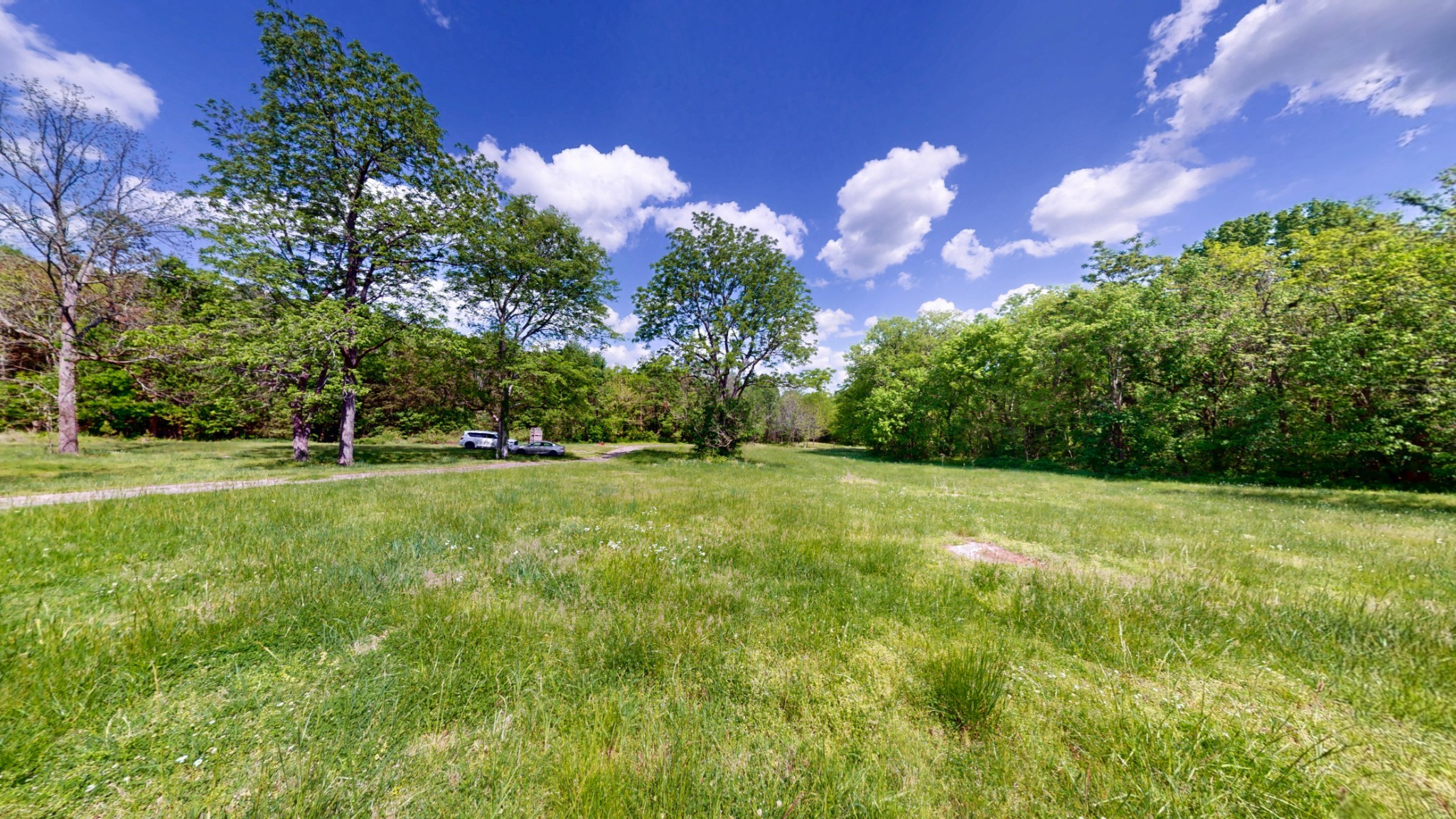 2517 Patton Hollow Road Watertown, TN 37184 - Photo 3 of 29