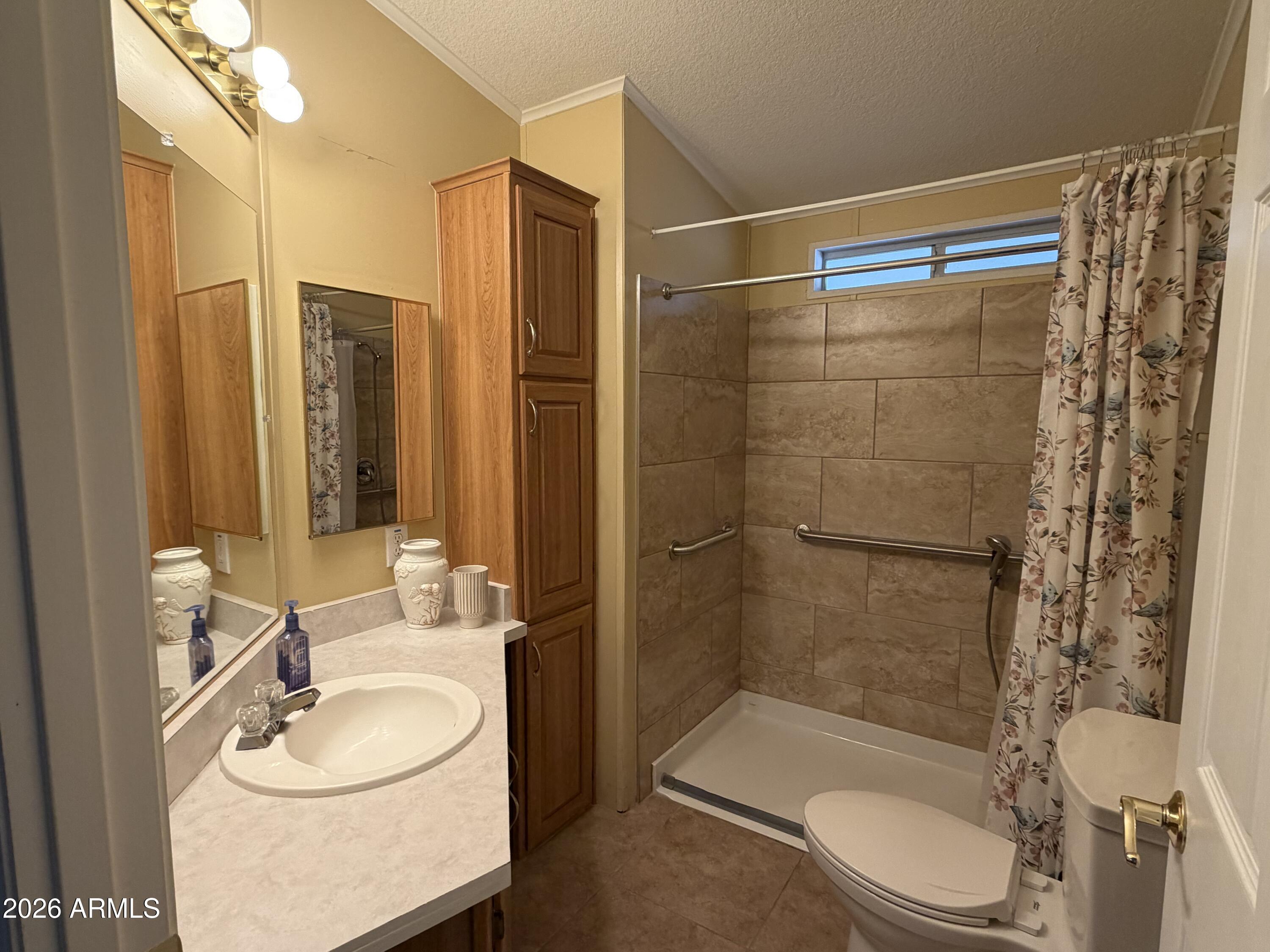 215 North Power Road, Unit 384 Mesa, AZ 85205 - Photo 18 of 27 a bathroom with a sink toilet and shower