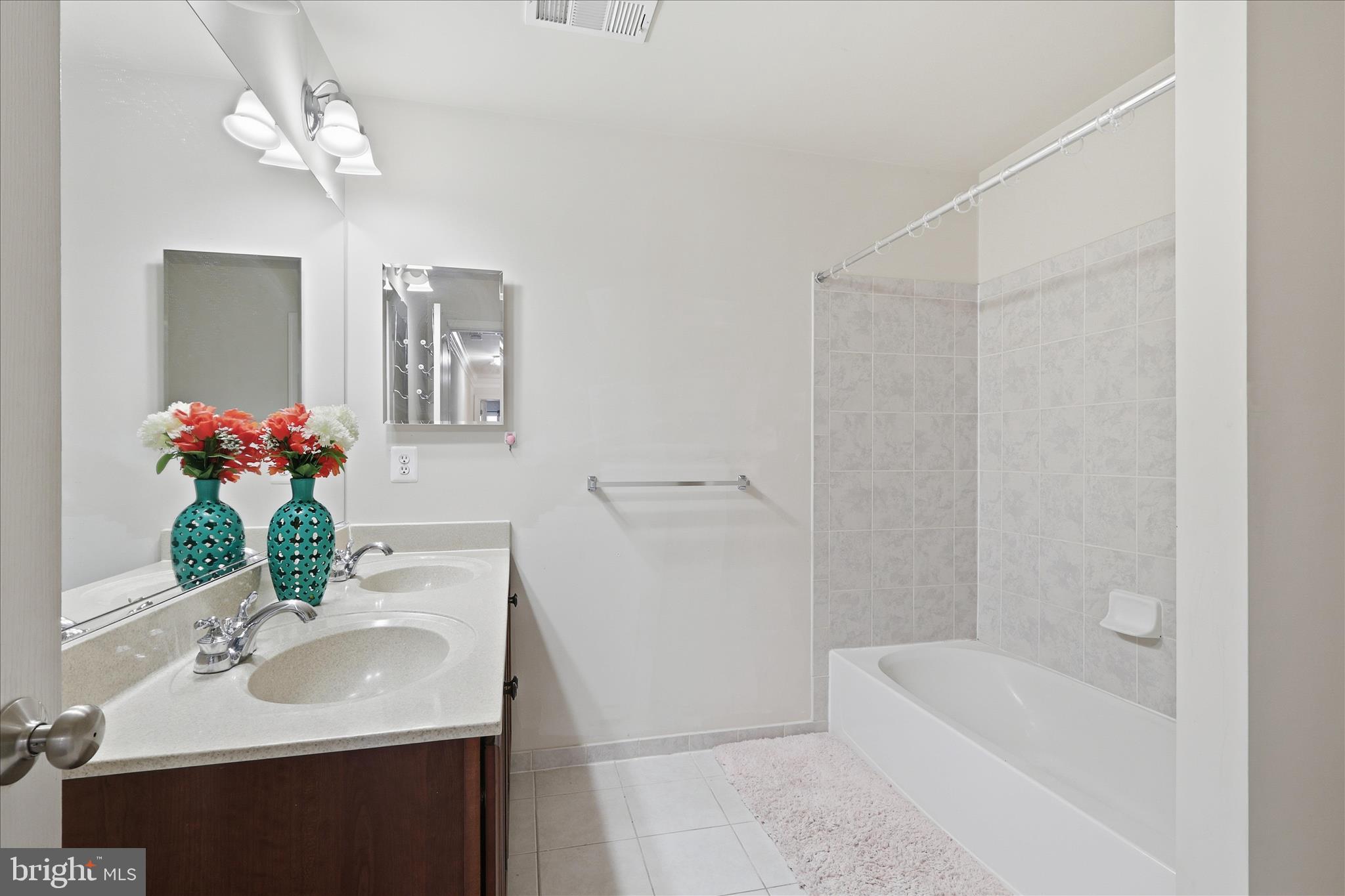 22908 North Brown Square Ashburn, VA 20148 - Photo 38 of 57 a bathroom with a sink a bathtub and a mirror